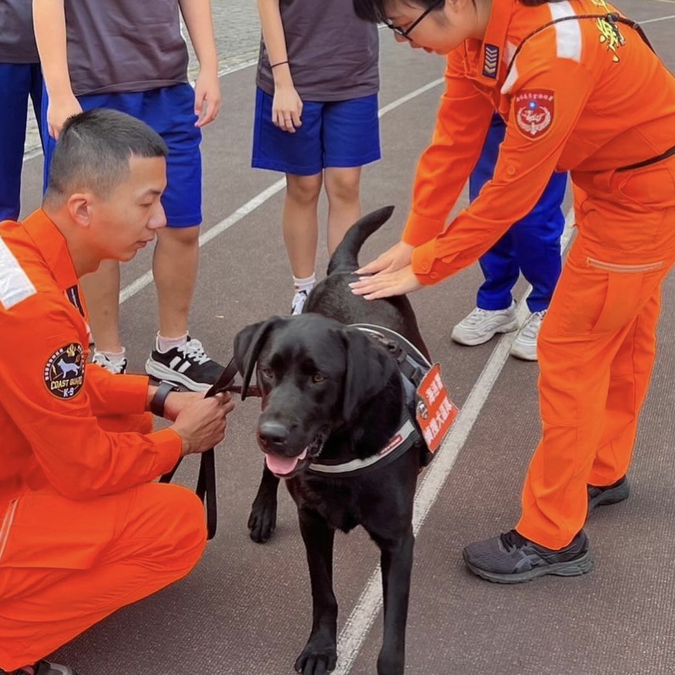 k9planet_japan's tweet photo. 🇹🇼台湾沿岸警備隊の探知犬K9 "ジオン"🐕
#repost @cga_xion_1208
#k9 #k9planet #workingdog #k9training #searchdog #shepherd #ラブラドールレトリバー #germanshepherd #黒ラブ #k9unit #labradorretriever #sardog #taiwanrescuedog #沿岸警備隊 #costguard #taiwancoastguard https://t.co/H153EKjJtF