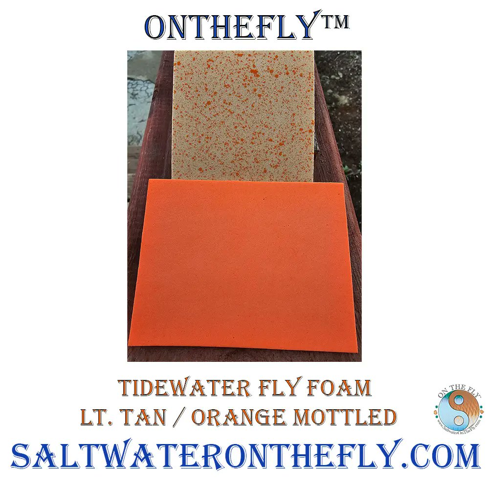 Saltwater on the Fly tweet media