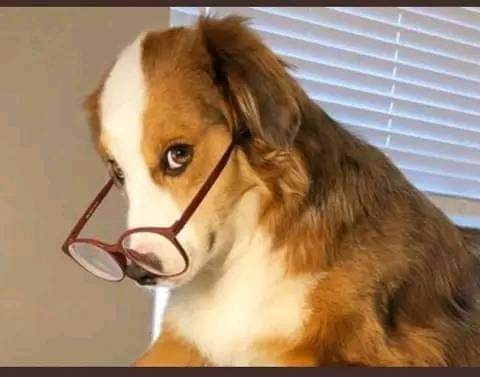 Juso__namibia's tweet photo. We know that y'all touched today, otamu lundilwa ye?
Nde mwii fifa nee miipay yeni omo😏 https://t.co/ZkfE4nUjm6