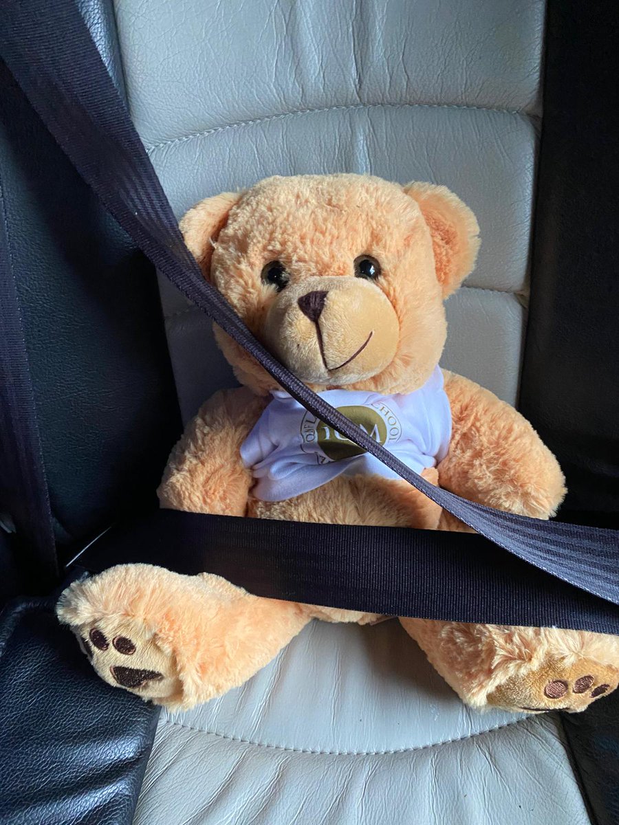 inclusionbot's tweet photo. #dexterday
Dexter has had a fabulous week! After being welcomed to the school family by the children and staff in Monday's collective worship, he went swimming with Year 4. He has his own noticeboard so that the children can keep track of his adventures. @AquilaTrustUK @iqmaward https://t.co/dxxcvxO6FT