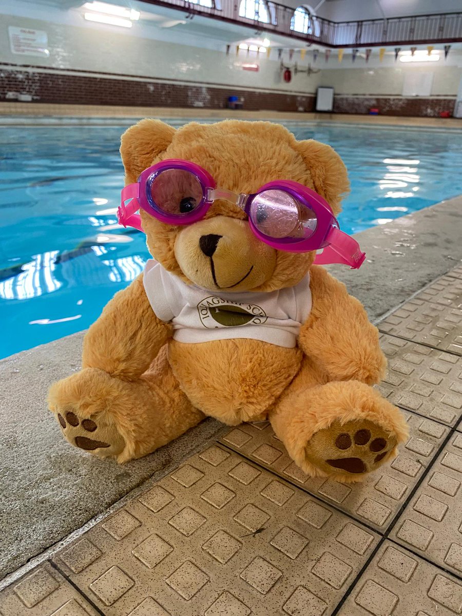 inclusionbot's tweet photo. #dexterday
Dexter has had a fabulous week! After being welcomed to the school family by the children and staff in Monday's collective worship, he went swimming with Year 4. He has his own noticeboard so that the children can keep track of his adventures. @AquilaTrustUK @iqmaward https://t.co/dxxcvxO6FT