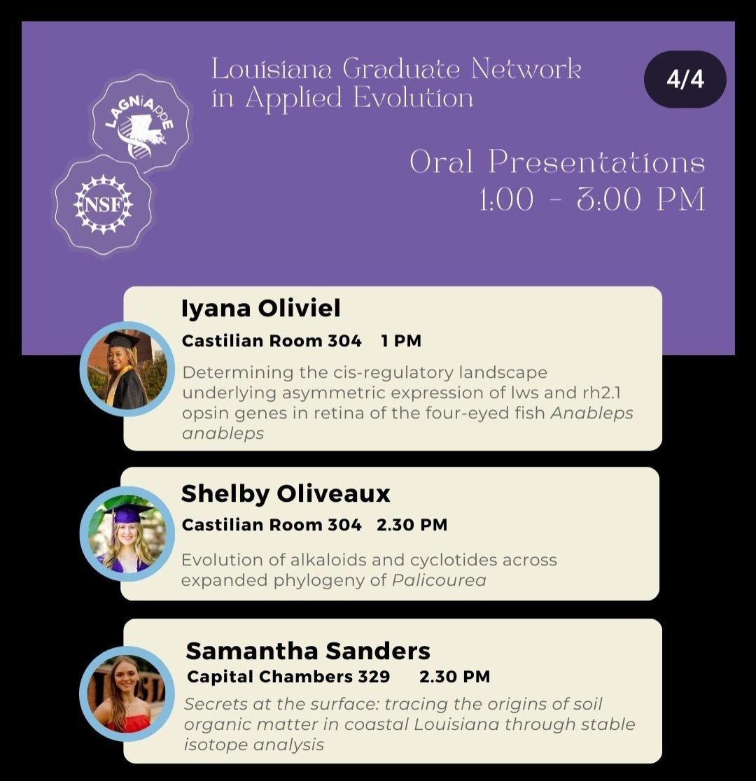 Today, our scholars will present their research to the Louisiana scientific community. And we would like to invite @LSU_BioSci to be part of this important day @LSUDiscover. 

See the schedule on the photos. #Postbacc #NSF #RaMP
