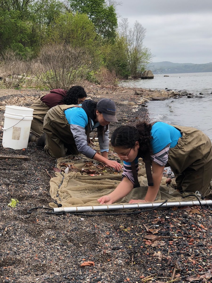 On Apr 20 12-4:30pm ET, join @LamontEarth Hudson River Field Station at Haverstraw Brick Museum's #EarthDay Arts & Science Festival in Emeline Park for hands-on family fun + inspiration to preserve and protect our planet. lamont.columbia.edu/events/haverst…