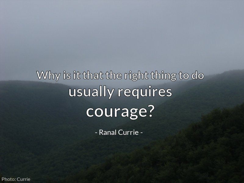 Why is it that the right thing to do usually requires courage?

#quote #quotesmith55 #dotherightthing #courage #FridayFundamentals