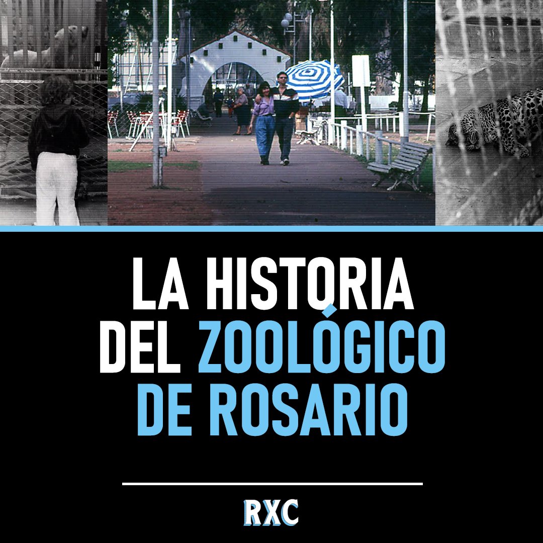 🏙️ EL ZOOLÓGICO DE #ROSARIO 🐆

Nuestra ciudad también tuvo un zoológico. Un lugar de otra época con gratos recuerdos, a pesar de que, por suerte, hoy tal práctica causaría tristeza e indignación.

[...] 🧵