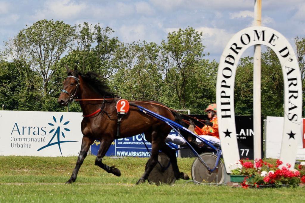 🏇 Rendez-vous ce dimanche 21 avril pour la première réunion de la saison à l’hippodrome d’Arras ✅ Départ des courses à 14h30 Détente et plaisir assurés en famille ! ℹ️ Plus d’infos : hippodrome-arras.com