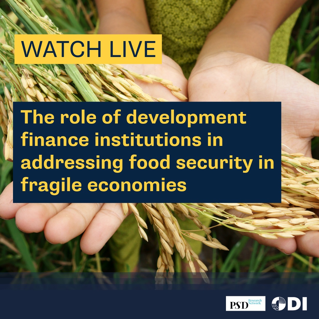 🔴 We're going LIVE! Join us now for 'The Role of Development Finance Institutions in Addressing Food Security in Fragile Economies'. Speakers: ▪️H.E. @SalahJama ▪️@DWteVelde ▪️@VivianneInfante Moderator: Prof. @VictorMurinde (@CGFSOAS) Watch live now: odi.org/en/events/the-…