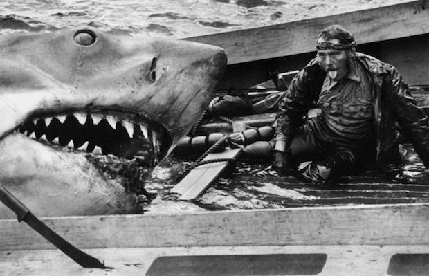 Did You Know: Bruce the #shark accepted his role in #JAWS on condition he got to eat actor Robert Shaw.