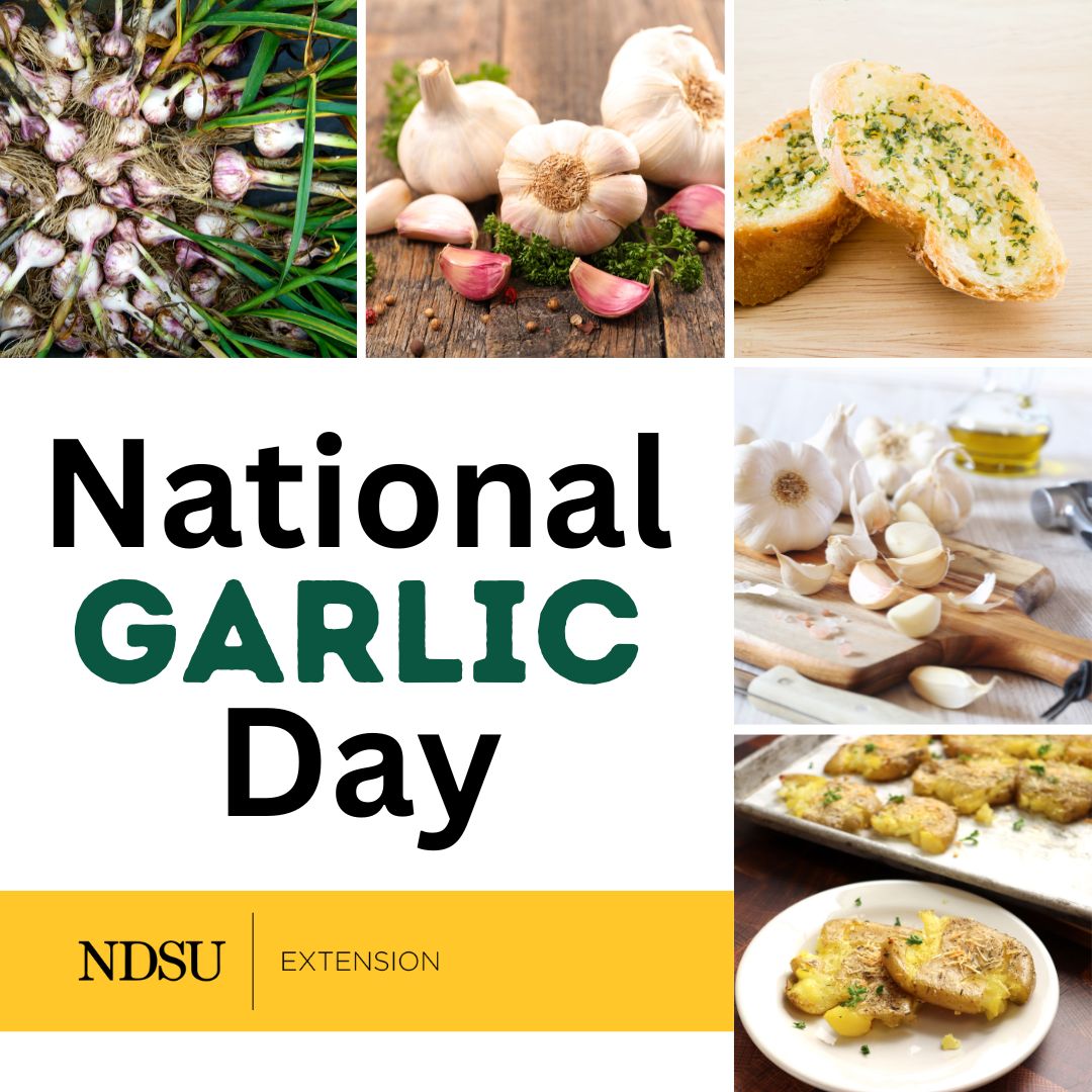 Happy National Garlic Day!
Garlic is a great way to add flavor to a variety of dishes. It can be purchased from most grocery stores or grown in your backyard!
ndsu.edu/agriculture/ex…
#FieldtoFork #ndsuextension #garlic