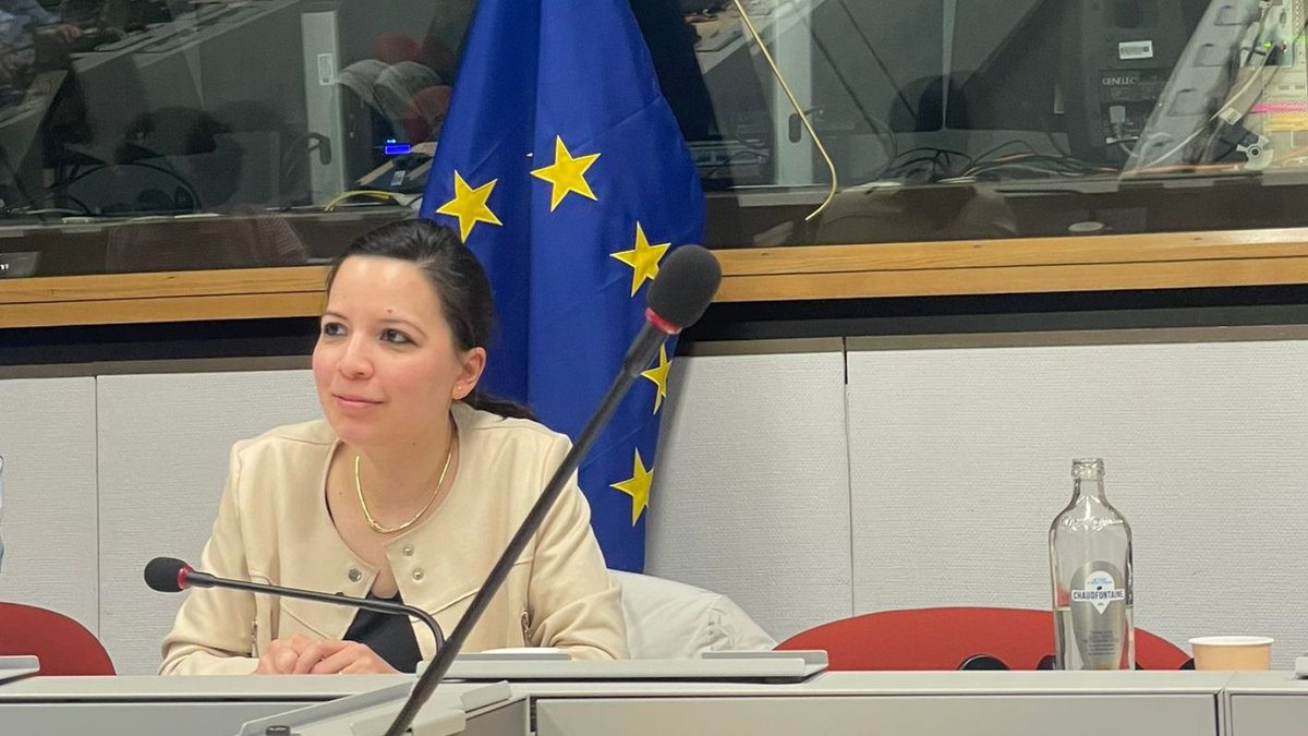 Our own @ElisaLironi & Claire Morot-Sir are at the @EU_Commission moderating a thematic discussion on “supporting democratic participation of citizens: EP elections 2024 and beyond.” This meeting aims to get input on potential ways to maximise the upcoming CERV programme.