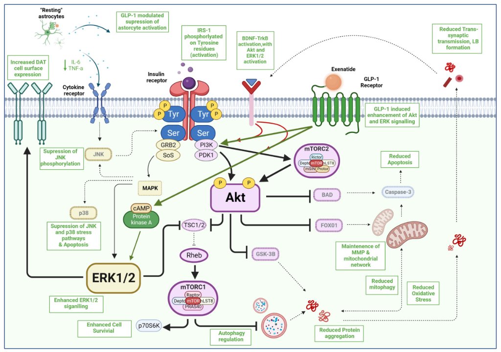 The Science of Parkinson's tweet media