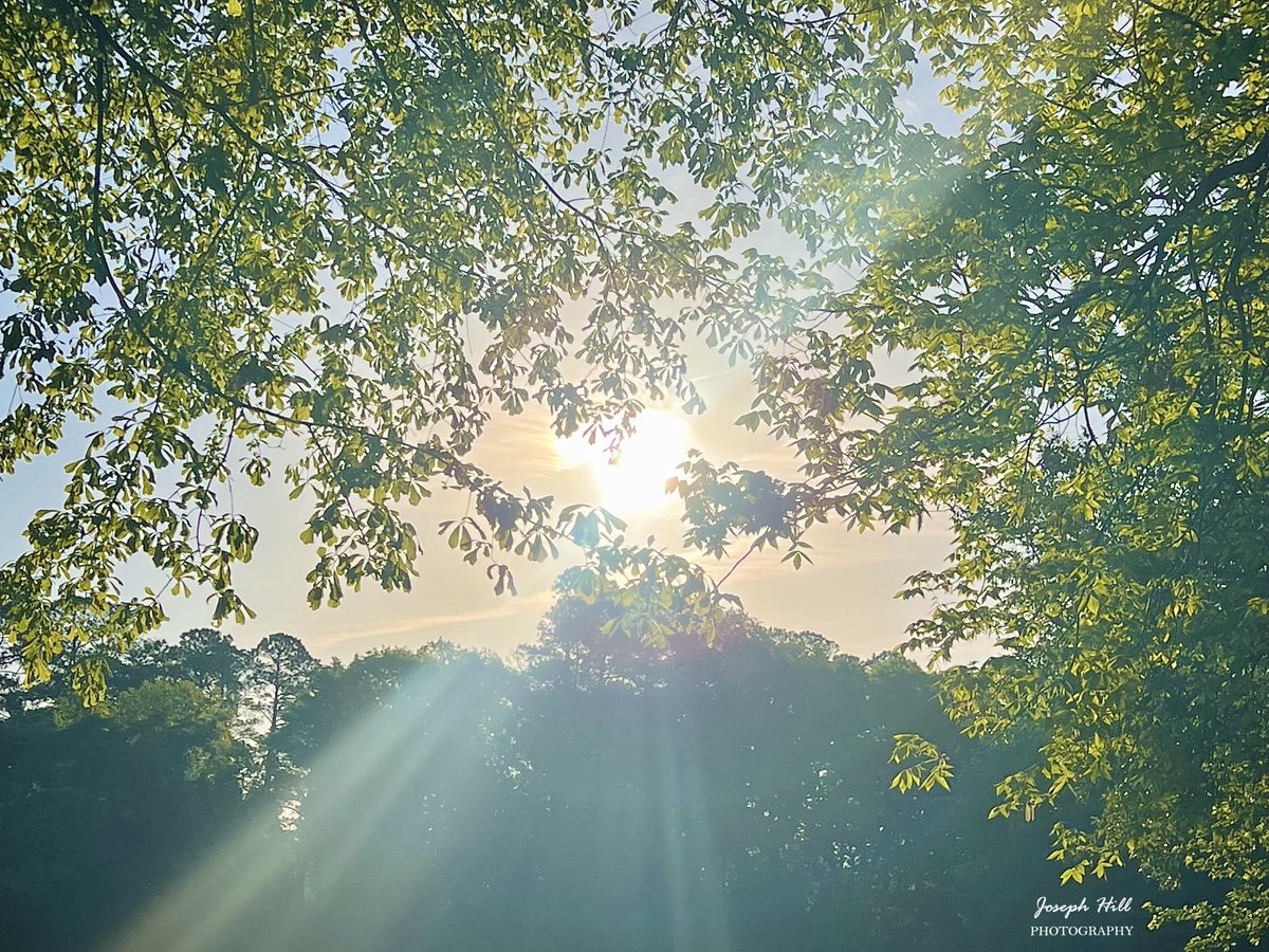 Sunrise☀️🌳
#April2024 
Photo By: Joseph Hill🙂📸☀️

#sunrise #bright #morning #trees #field #sunlight #nature #spring #Daylight #beautiful #colorful #awesome #peaceful #daytime #NaturePhotography #SouthernPinesNC #April