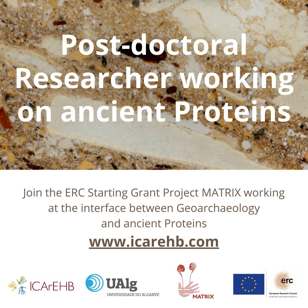 🌟Join us! @VeraAldeias and @Matrix_ERC are seeking a Post-doctoral Researcher in Archaeology, molecular biology, chemistry, biochemistry, environmental sciences, or similar fields. Ddl: May 14. Explore this opportunity: icarehb.com/post-doctoral-…
