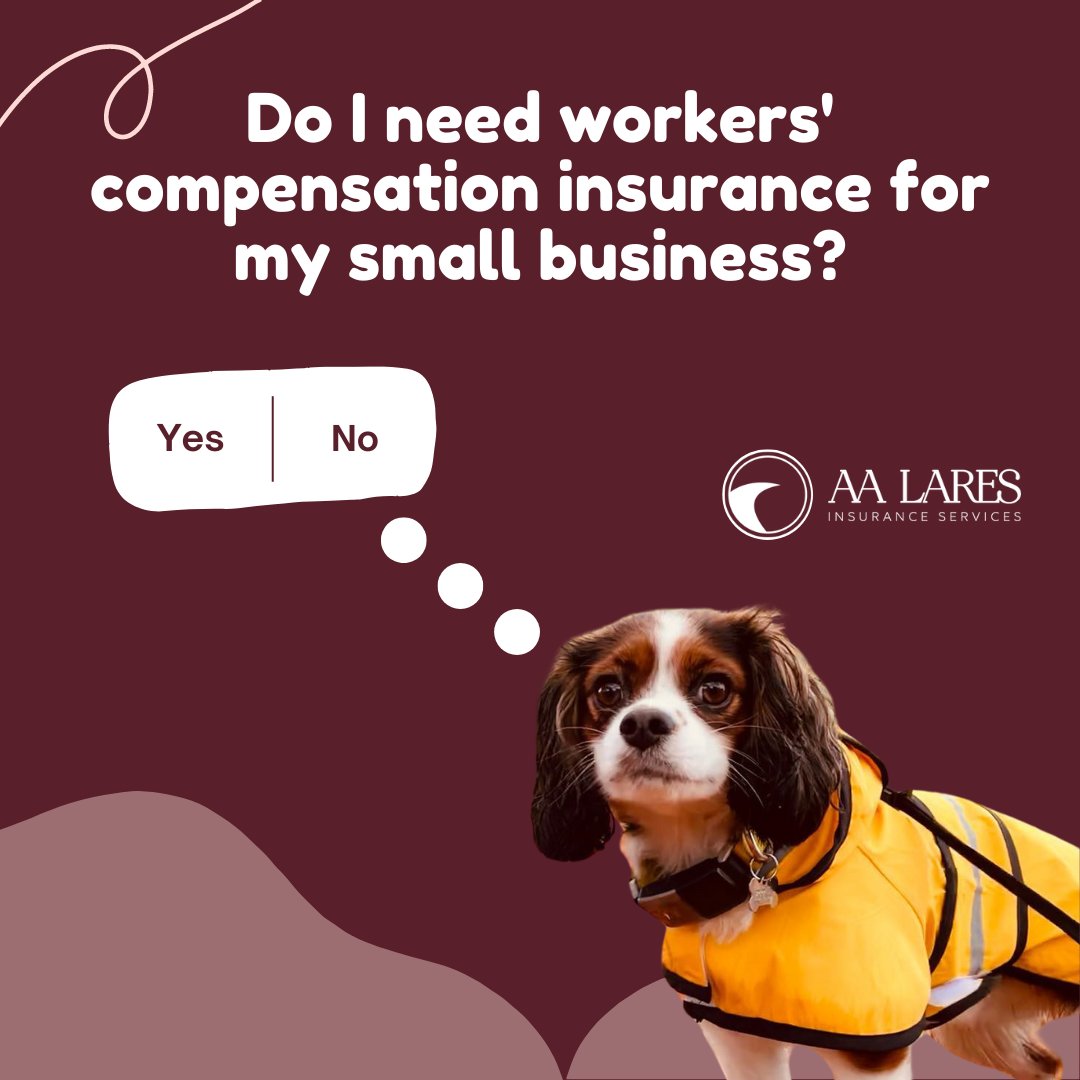 Do I need workers compensation insurance for my small business?

#AALI #LaresInsurance #ReferralRewards #MakingAnImpact #LaresGoesLocal #HealthInsurance #InsuranceAgent #InsuranceInsights #CultivatingConnection #businessinsurance  #insurancecoverage