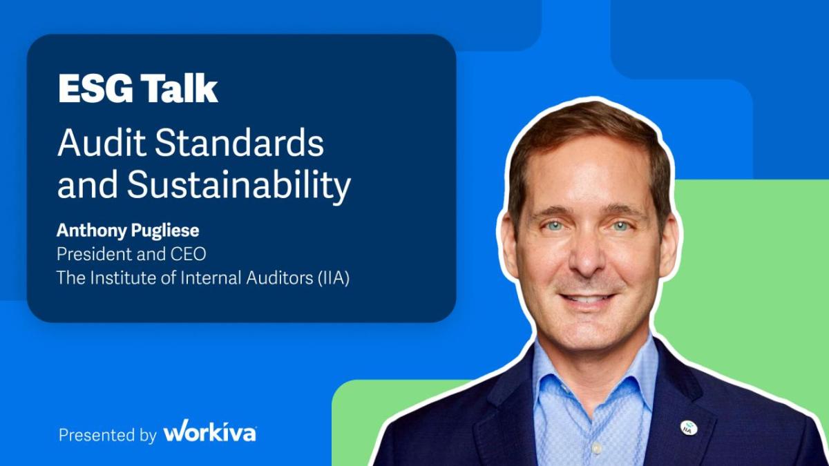 Audit Standards and Sustainability dlvr.it/T5kGy6