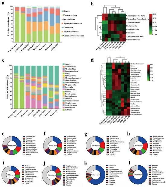 The Dynamic Changes of Brassica napus Seed Microbiota across the Entire Seed Life in the Field mdpi.com/2223-7747/13/6… #plantscience ♻️