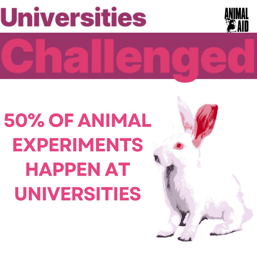 Many animal experiments at universities are 'curiosity driven'. This means not only are they cruel and ineffective, they are also unnecessary! This is why we launched our Universities Challenged campaign. #BetterScience #University #ItsNotScienceItsViolence #WDAIL