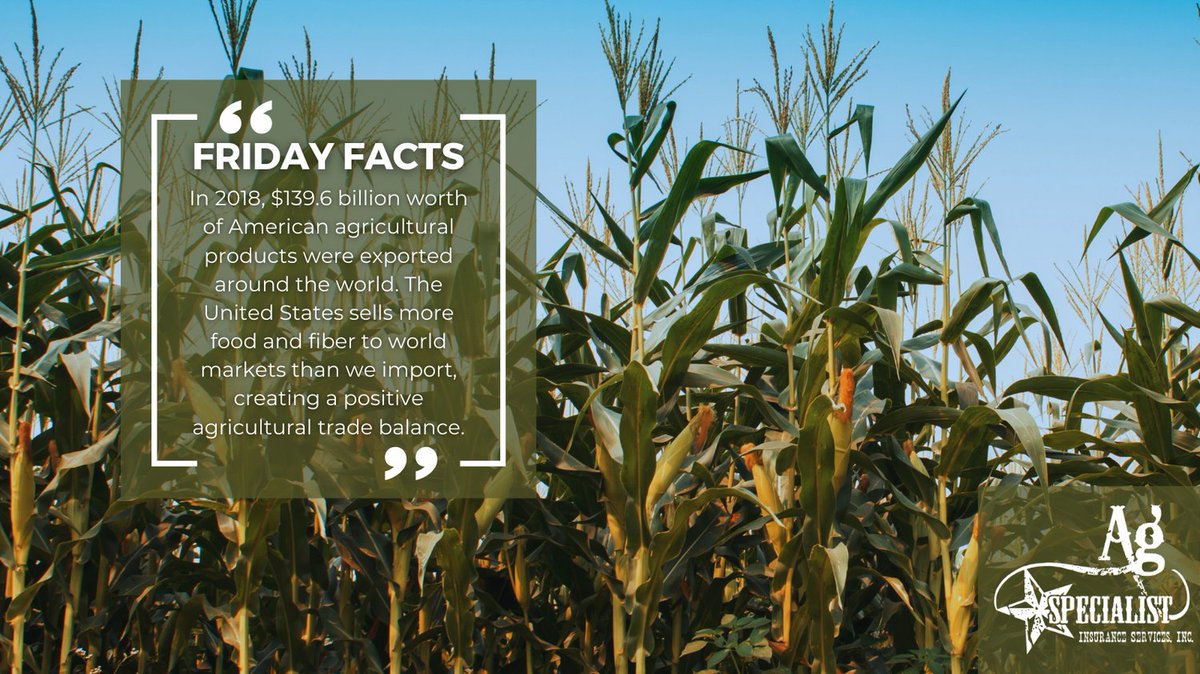 Happy Friday Facts! Have a great day! 🌽

#agspecialistins #cropinsurance #panhandlefarming #farm365 #agriculture #cropagents #farmranch #farmlife #farm #farmers #ranchers #farmtotable #insurance #farmersofinstagram #america #US #fridayfacts