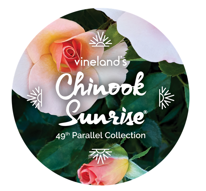 49throses tweet media