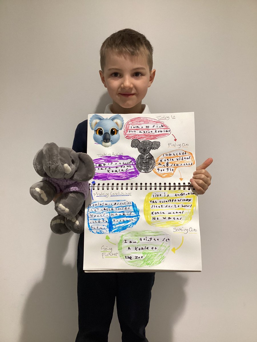 Another fantastic inquiry from this jubilee star all about koalas ⭐️ #jppsinspire #jppscelebratesuccess