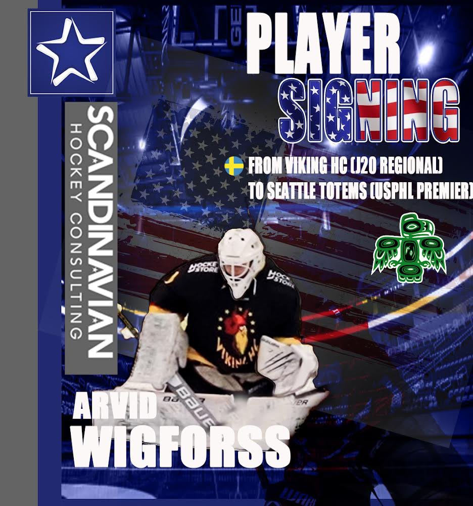 Scandinavian Hockey tweet media