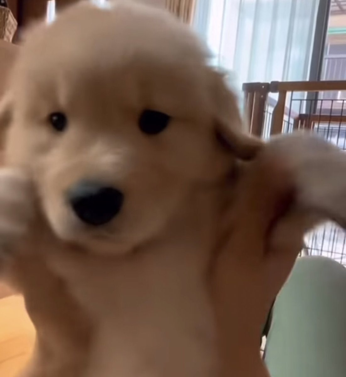 takemybear 🐶 tweet media