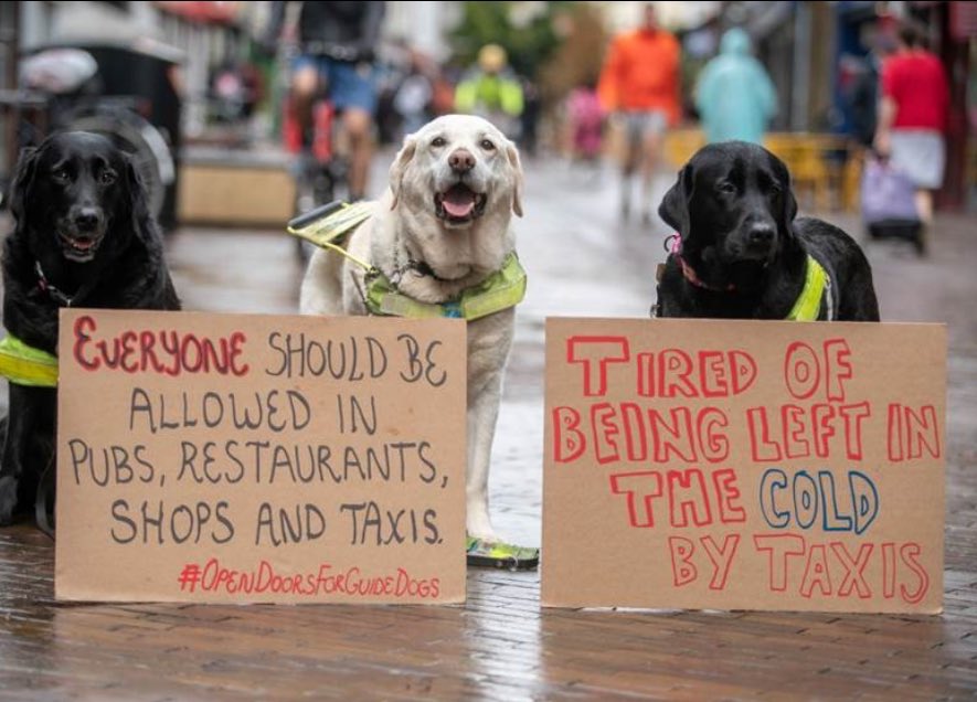I can’t believe people are still being refused access to restaurants, shops and taxis, because they have their guide dog with them. How can you help?  Please sign @guidedogs petition to strengthen the law around these illegal access refusals. x.com/guidedogs/stat…