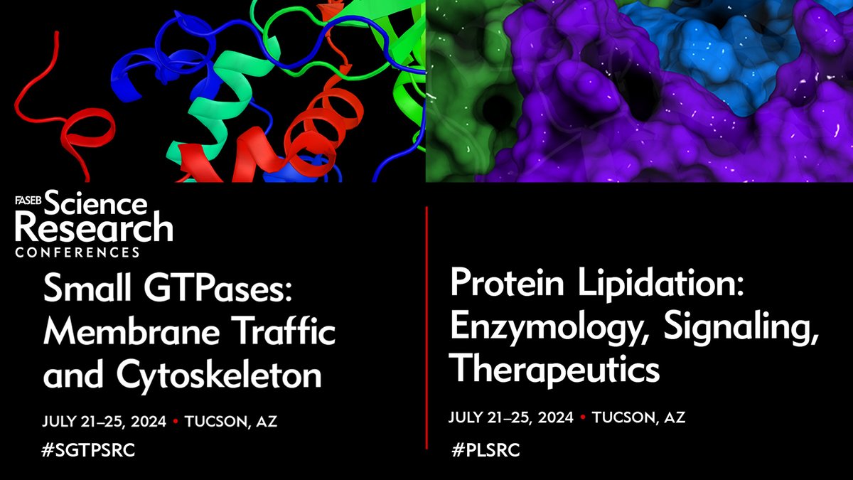 Two great conferences for the price of one! With speakers Carol Williams of @MedicalCollege for #PLSRC and @BonifacinoJuan @NIH for #SGTPSRC and organizers @ShernazBamji, @chembioBryan, @prekerislab, and more, there will be lots to learn. Save your space: hubs.ly/Q02sPgH50