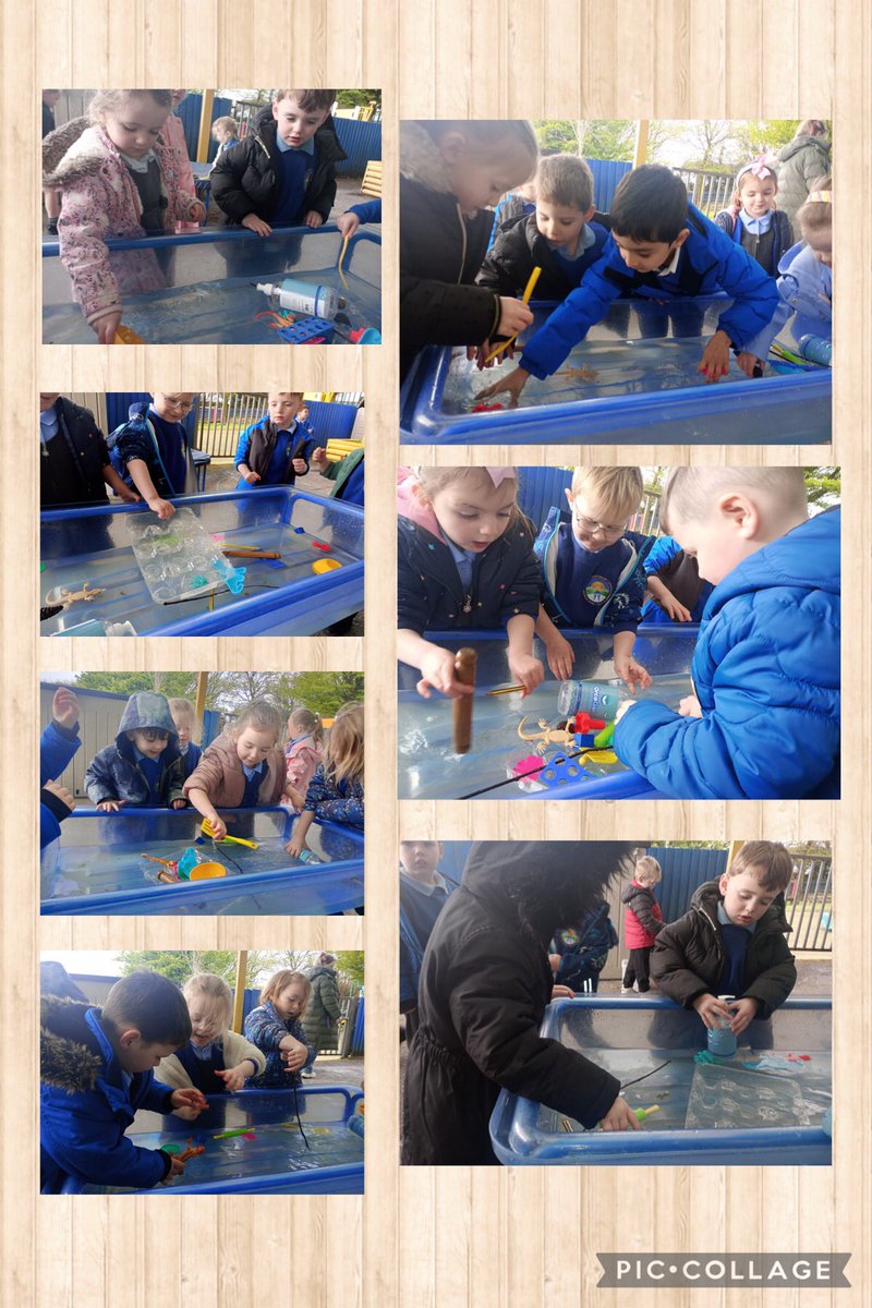 This week Dosbarth Seren have been investigating the different materials and objects that float and sink. Bendigedig pawb ⭐️