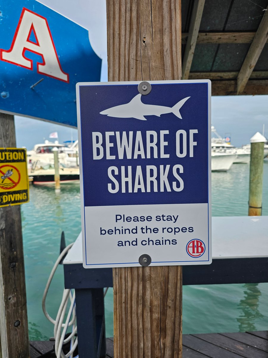 📷📷 Beware of the sharks! Ever spotted this shark warning sign while exploring the Historic Seaport Harbor Walk in Old Key West? Share your shark encounter stories or photos if you've seen this sign before! #SharkWarning #KeyWestSeaport #HistoricHarborWalk #OldKeyWest