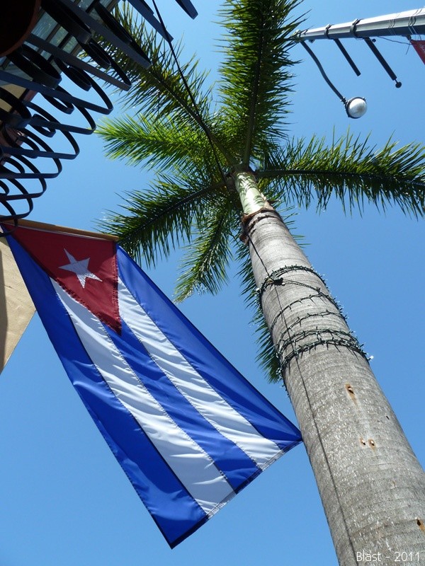 Si hace 63 años no se dudó en defender esta bandera, este cielo y está Revolución hoy tampoco lo haremos 

#Cuba cuenta con un pueblo que la defiende y daremos siempre un #GirónDeVictorias