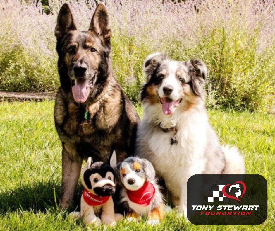 Looking for ways to support the Tony Stewart Foundation? Purchase one of our signature stuffed animals! We have two different pups, Max and Fendi, that serve as the perfect gift for a loved one. All proceeds go toward our Animal Grant Partners. tonystewartfoundation.org/store/