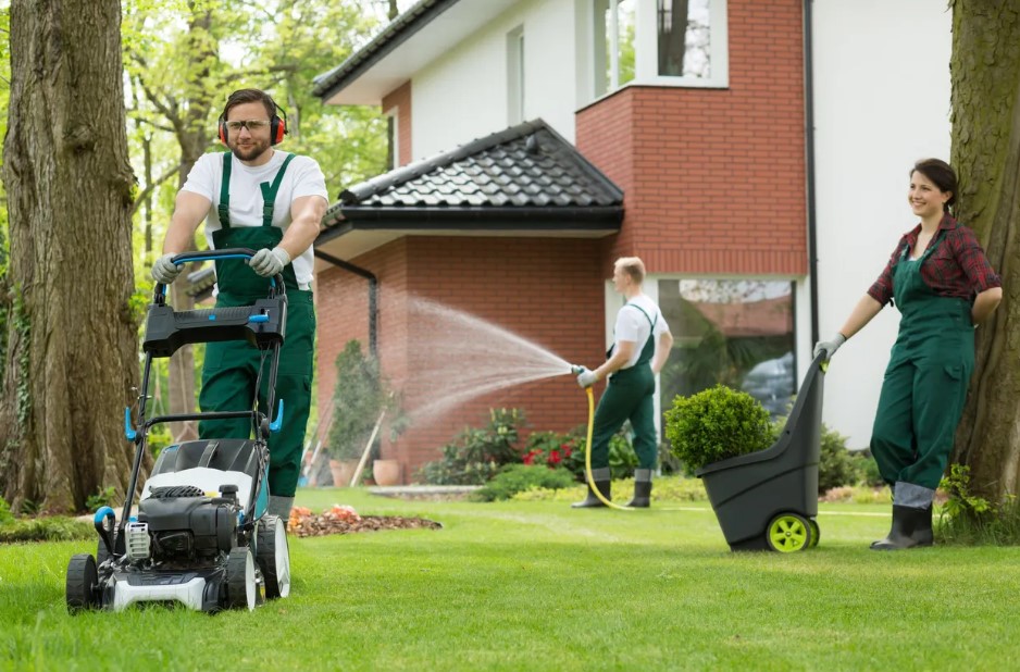 📷 Ready to grow your lawn care business?  Discover simple yet effective strategies to attract and retain customers, turning your budding venture into a lucrative success! 📷 Dive into the article in the comments for expert tips. 📷 #lawncarebusinesssuccess #customeracquisition