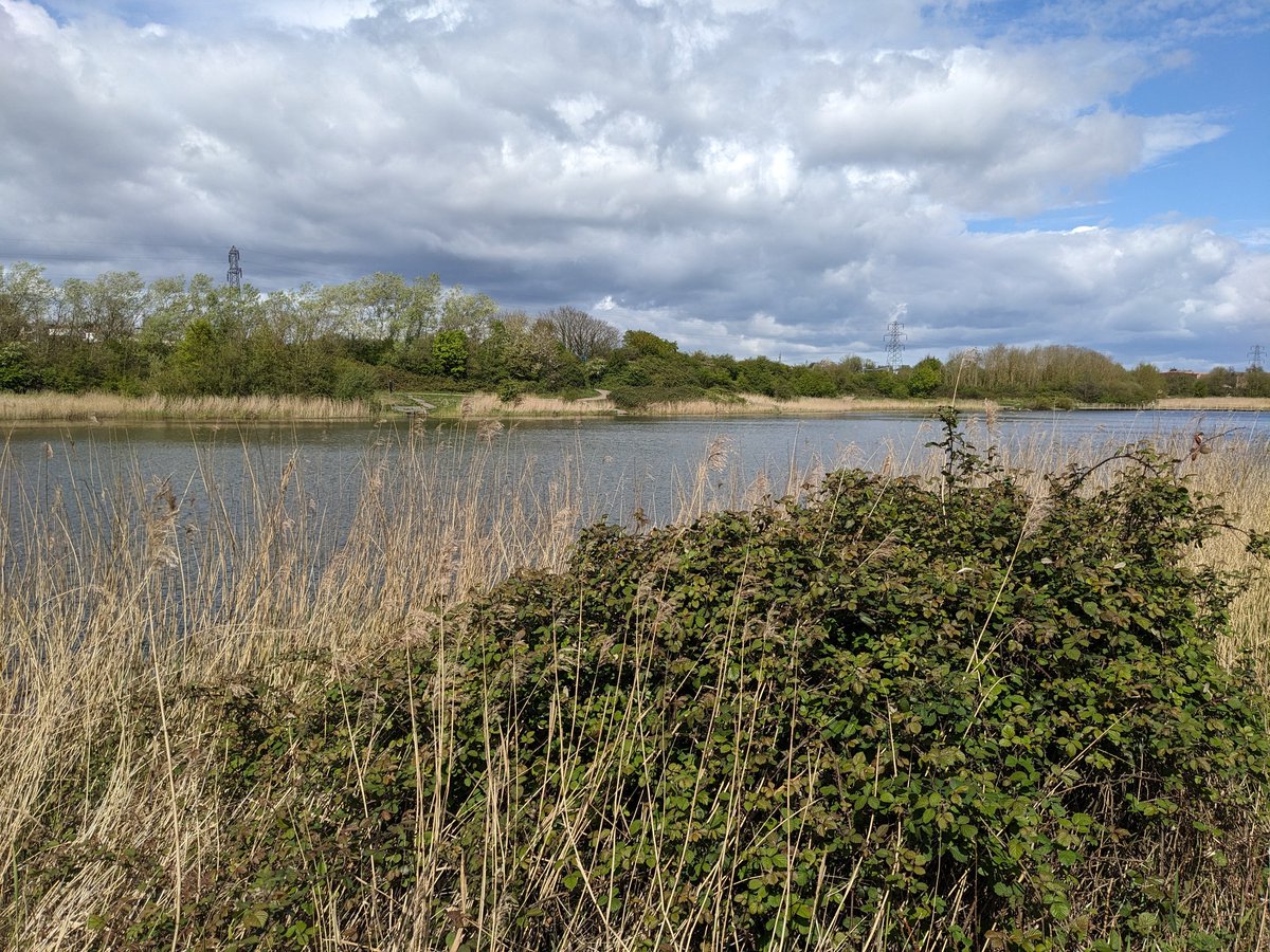 Anne Bell tweet media