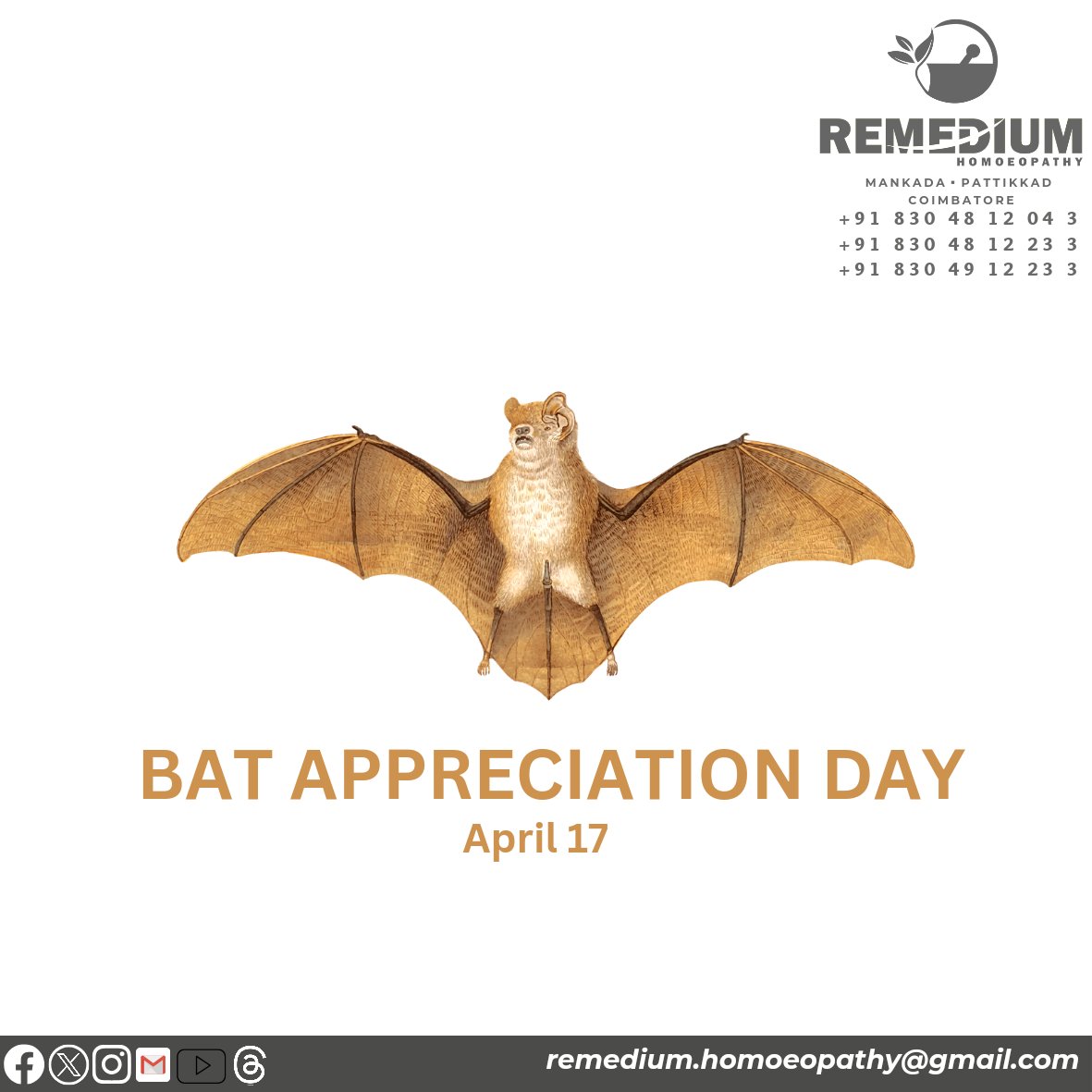 RemediumH's tweet photo. Bat Appreciation Day 
@RemediumH

#bat #halloween #bats #b #batman #art #t #baseball #ball #love #puglia #mlb #vampire #cricket #nature #goth #dc #batsofinstagram #spooky #sports #vine #dccomics #gothic #cute #wildlife #drawing #black #instagood #photooftheday https://t.co/5jvfcwzSXT