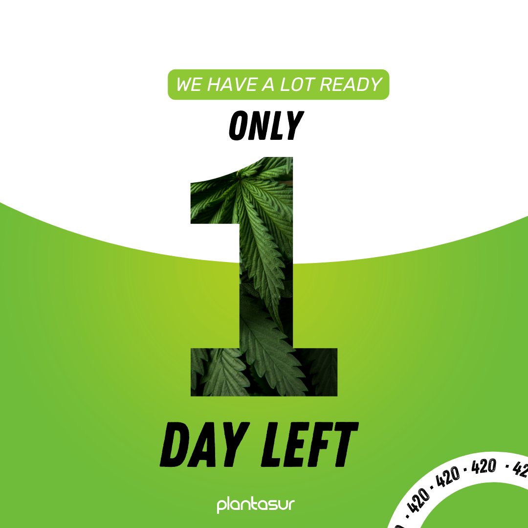 Only 1 day left until 420 and this year we celebrate it with offers 🔥🔝 Stay tuned for tomorrow!!!! And we also have a tip 👀 KANNABIA SEEDS has also prepared some incredible promos. If you don't want to miss it, check out the @KannabiaSeeds profile.