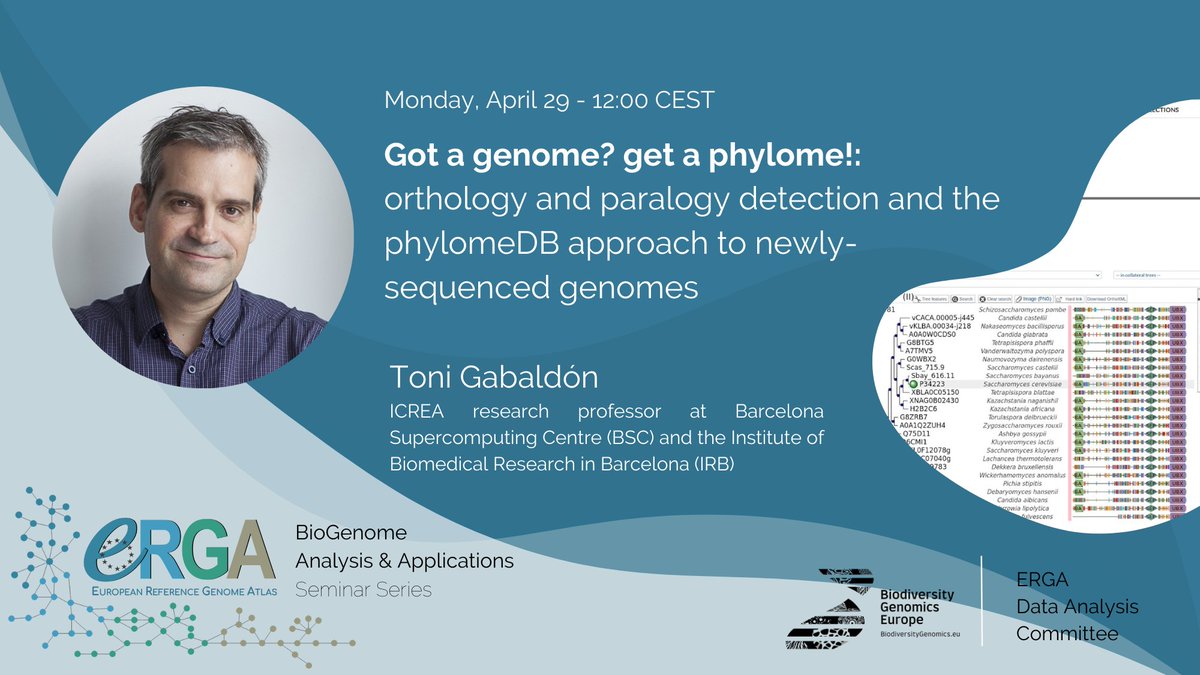 #ERGASeminars | Don't miss this upcoming seminar with @toni_gabaldon (@BSC_CNS , @IRBBarcelona) and learn how the #Phylome approach can have various applications in #ComparativeGenomics 🧬 🗓️ April 29 - 12:00 CEST @BioGenEurope @EBPgenome 👉erga-biodiversity.eu/post/got-a-gen…