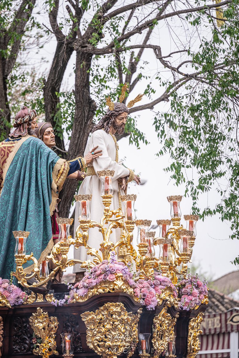 Nuestro Padre Jesús del Silencio en el Desprecio de Herodes 2024 Parte I @HermandadAmor