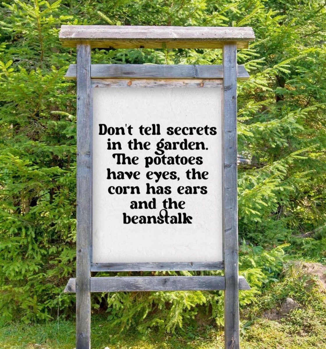 Can you keep a secret? 😂

Hope you've had a great weekend! What have you been up to in the garden?

#kitchengarden #growing #growyourown #gardening #plot #allotment #growyourownfood #allotmentsuk #homegrown #garden #gardenlove #gardeninspiration