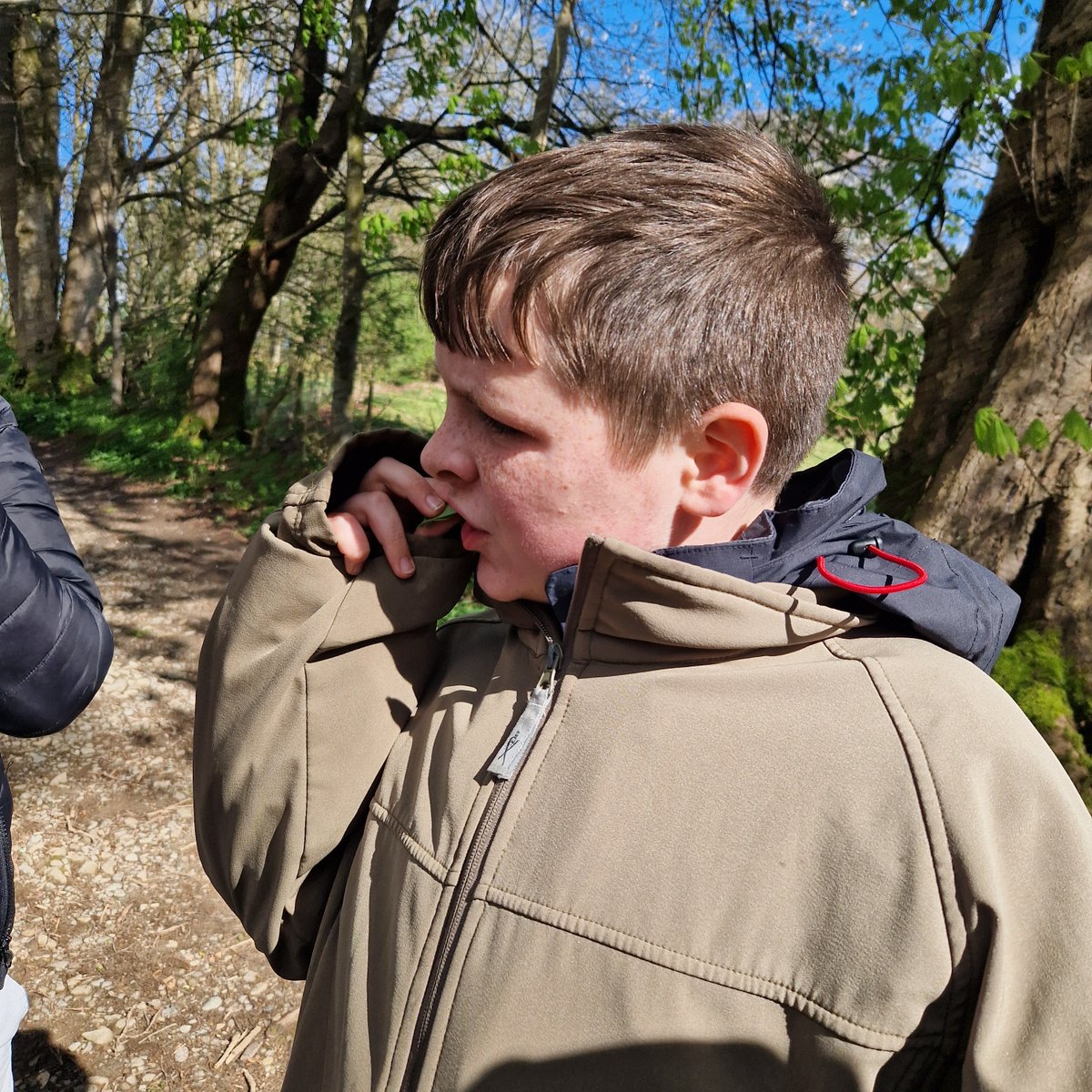 corpuscP7a's tweet photo. Team Yassin tasted wild garlic. 🧄😋 https://t.co/rjMQMgONrI