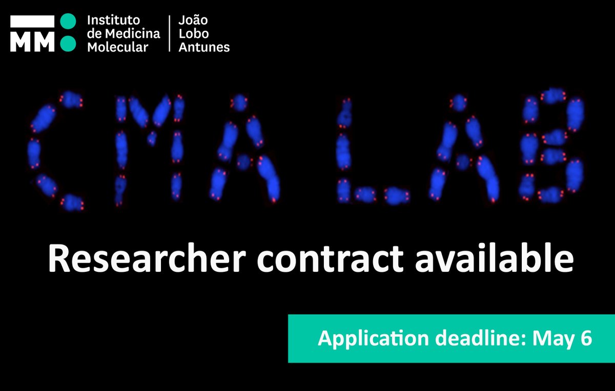 📣New opportunity to join our team!📣 If you are interested in #telomeres and #cancer, and you would like to investigate the vulnerabilities of ALT cancer cells, don’t miss this chance! Find all the details and apply at imm.medicina.ulisboa.pt/jobs Vacation code: IMM/CT/41-2024