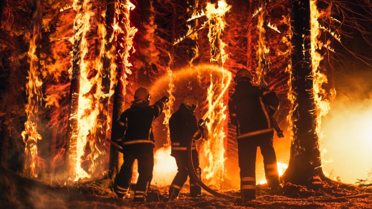 Calling emergency response workers attending Disasters Expo Europe in Frankfurt on 15-16 May. 🌍 ESA invites all Europeans to accelerate the use of space to improve life on Earth. 🧑‍🚒 Join the 150 organisations that have already engaged. 🚑 Discover how space can help to save…