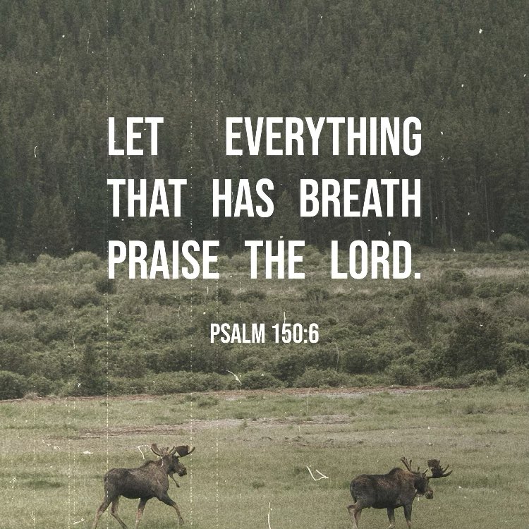 Good Morning Fishers of Men🪝✝️ Read 2 Chronicles 20:1-30 GOD’s mercy can turn even our most difficult valleys into places of praise as we give them to Him. In 2 Chronicles 20:15 GOD assured His people, “Do not be afraid or discouraged because of this vast army. For the battle