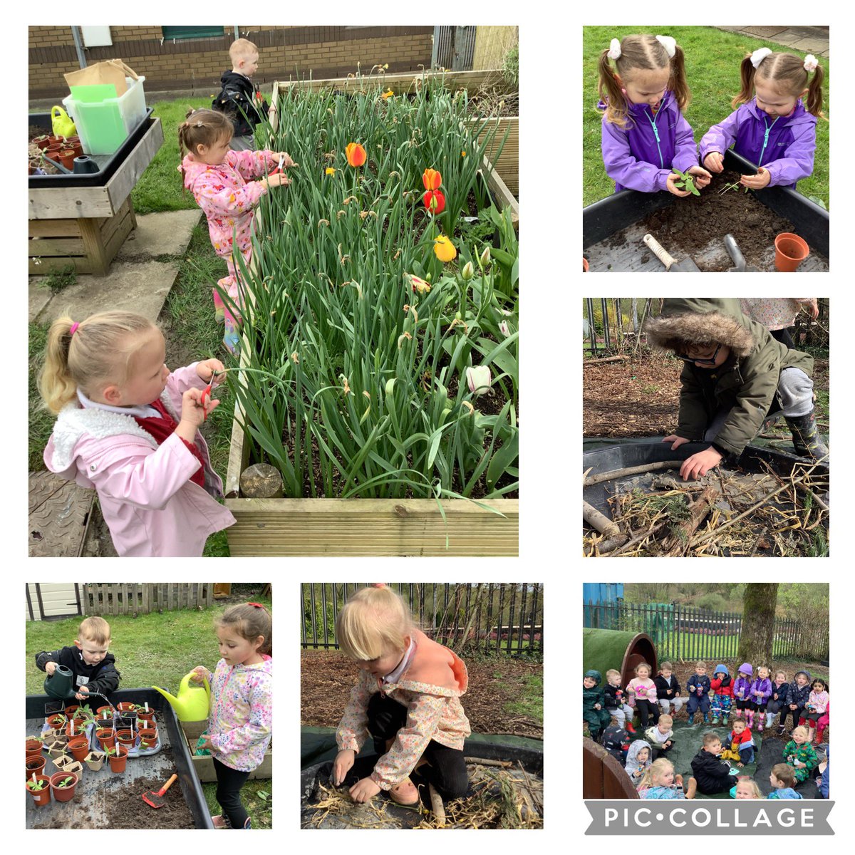 What a busy forest Friday today……… we made bird nests, re-potted our sunflowers and got our beds ready for summer by dead heading our daffodils. We also enjoyed our morning snack outdoors! A fantastic morning….can’t wait for next week! @NantYParcSchool