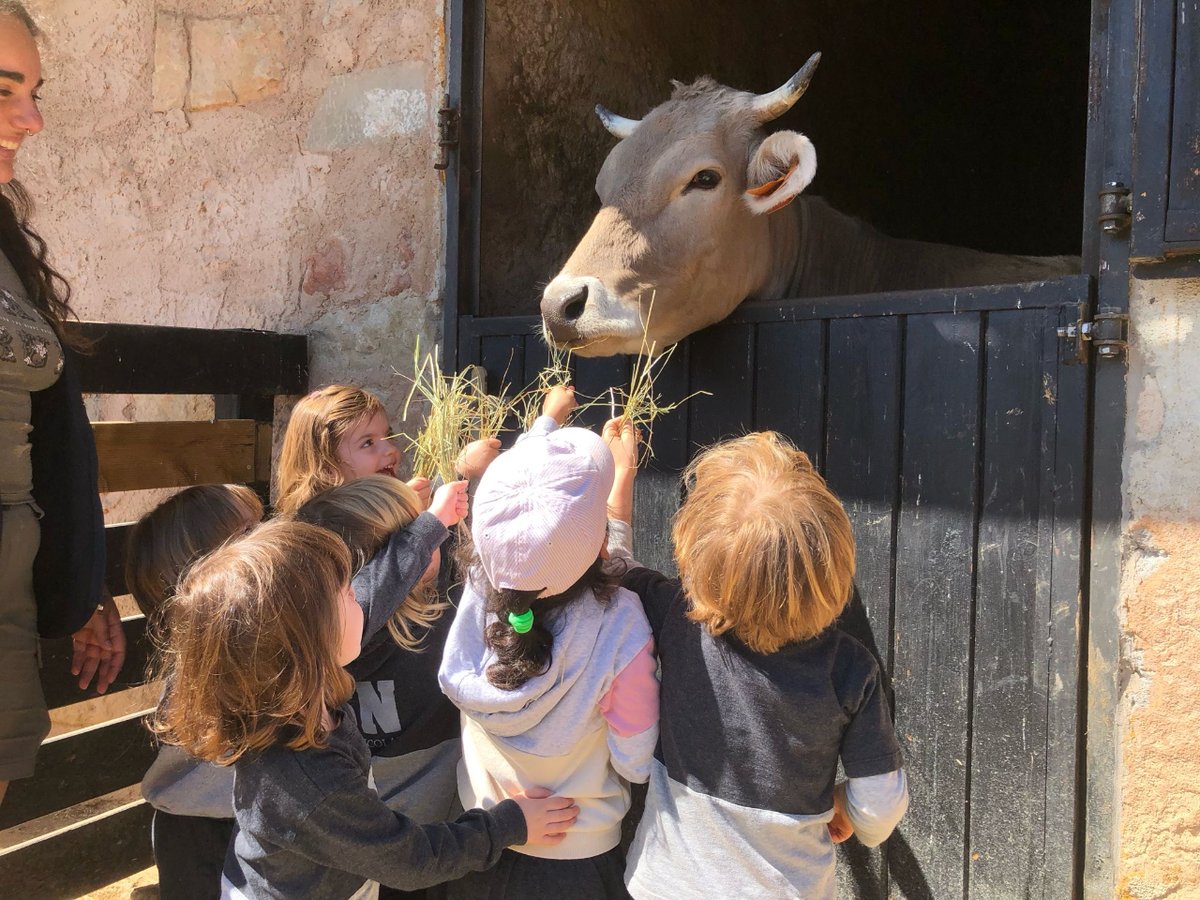 SantNicolau's tweet photo. 🐔🐮Els nens i nenes d'#I3SN hem passat el dia a la masia de Can Deu per conèixer de ben a prop els animals de la granja.🐴🐷
#SantNicolau #EscolaConcertada #EscolaLaica #EducacióInfantil #escola #Sabadell🧵👇 https://t.co/V3TFdqCyMr