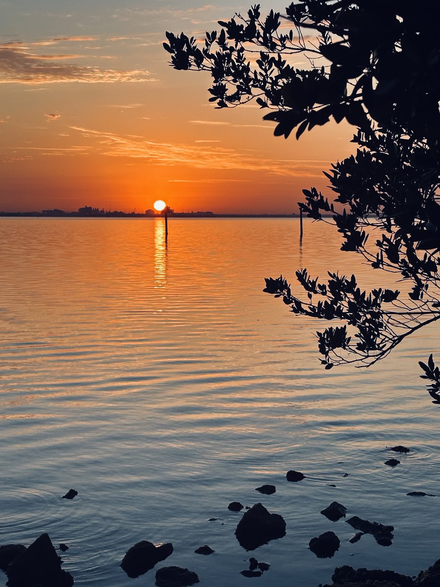 Friday sunrise 🌅 #loveyourlife #changeyourlife #luckygirl #abileads #CrazyConfident #baylife #tampa #tampabae #tampabay #tampaphotography #beinspired #beauty #LifeAfterLeapingIn #relocation #goodvibes #gratitude #gulfviews #happiness  #sunrise  #ballastpoint