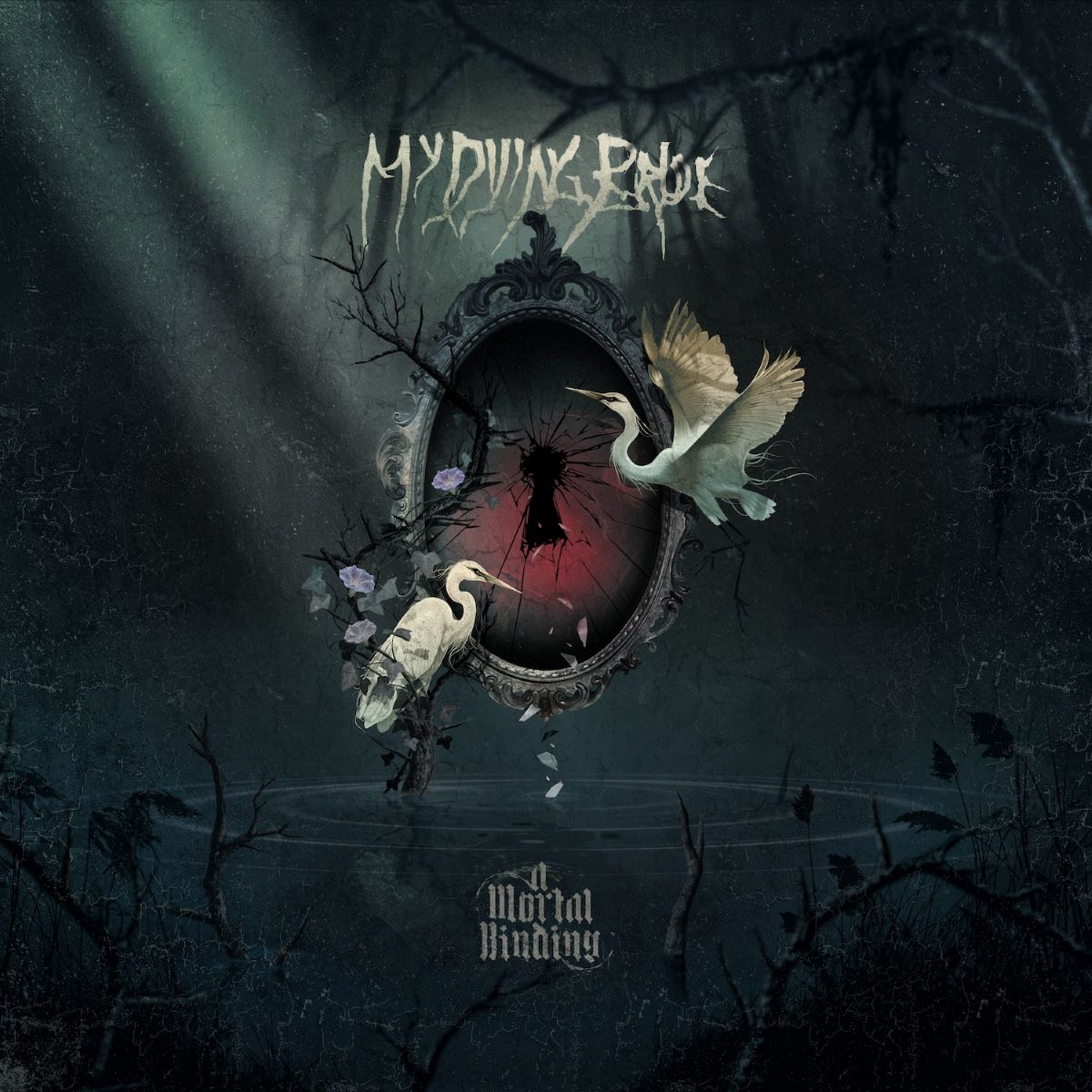 Revered doom band My Dying Bride release their 15th album, A Mortal Binding. Review at FFMB, flyingfiddlesticks.com/2024/04/19/my-… @Official_MDB @underadeadsky @nuclearblast #metal #heavymetal #rock #hardrock #doom #doommetal #MyDyingBride #NuclearBlastRecords #England #UK