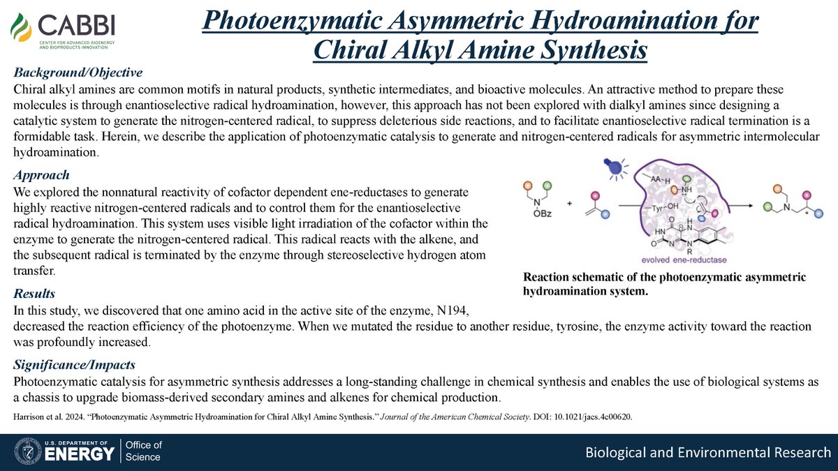 CABBIbio's tweet photo. A #CABBI team has made another breakthrough using photoenzymes to catalyze biological systems that can upgrade certain building blocks into valuable chemicals. This study was led by @wharrison52 of @HuiminZhaoLab.
Paper in @J_A_C_S:
📰 https://t.co/q0g2eHxZhD https://t.co/PoV8eV0sY1