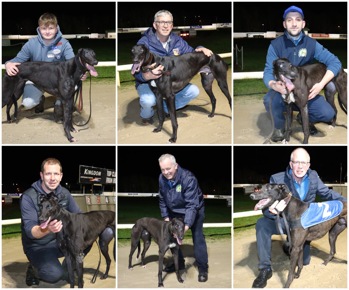 Final time in the John&Mary Killeacle Dowling Memorial, feature race on tonight's card plus a great night's with the Ballymac@Stud FestivalofRacing. Best of luck to all the finalists! 'DISCO PANTS CAN MAKE ALL THE RUNNING...' Preview with @Drakesport grireland.ie/talking-dogs/d…