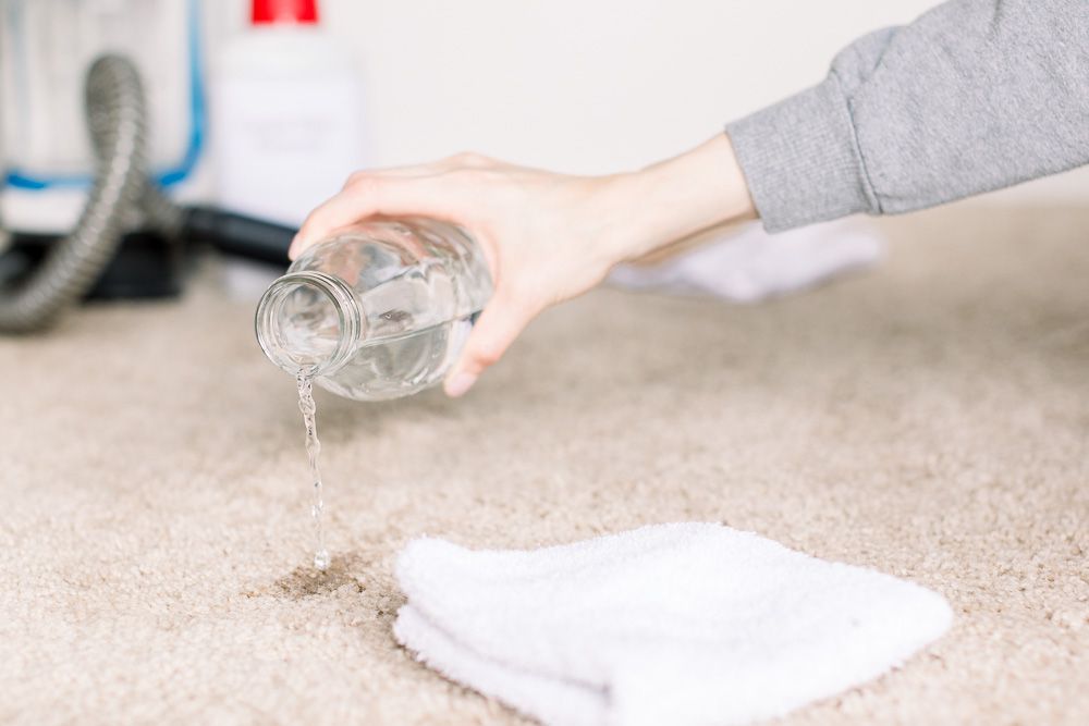 Domestic Divas House Cleaning on Google: posts.gle/jwFeKb The key to cleaning liquid spilled on your carpet is to act immediately.  #domesticdivas #theedomesticdiva #housecleaning #leavethedusttous #carpetstainremoval #carpetstains #quickclean